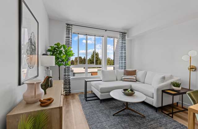 Zinnia photos photos