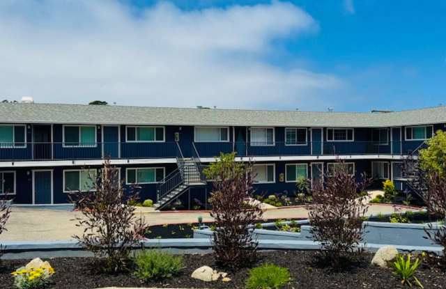 Upstairs beautifully renovated 1 bedroom 1 bath in the Monterey Sunbelt photos photos