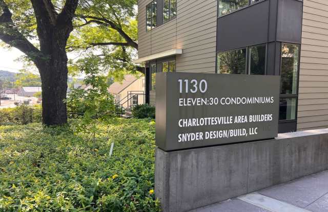 1130 E. High Street, unit #E - Sleek  Stylish Condo with HUGE Rooftop Deck! - 1130 East High Street, Charlottesville, VA 22902