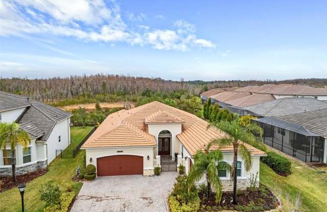 30715 TUMBLEBERRY STREET photos photos