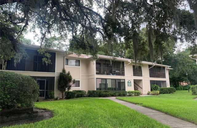 6004 Laketree Lane, #L - 6004 Laketree Lane, Temple Terrace, FL 33617