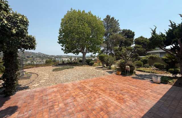 Minutes from Campus with Scenic Overlook Views! 6 Bed! photos photos