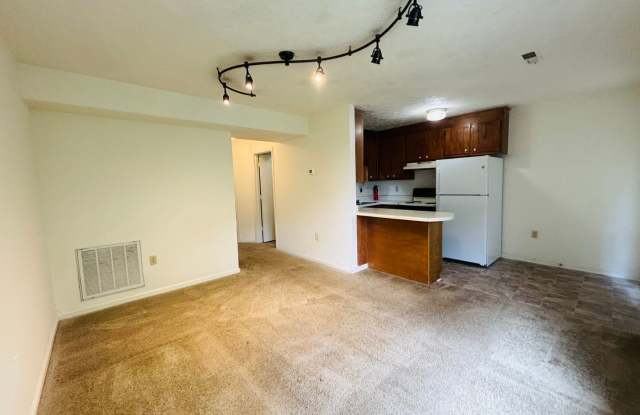 4 Bedroom 2 Bath Townhouse Gallery 3