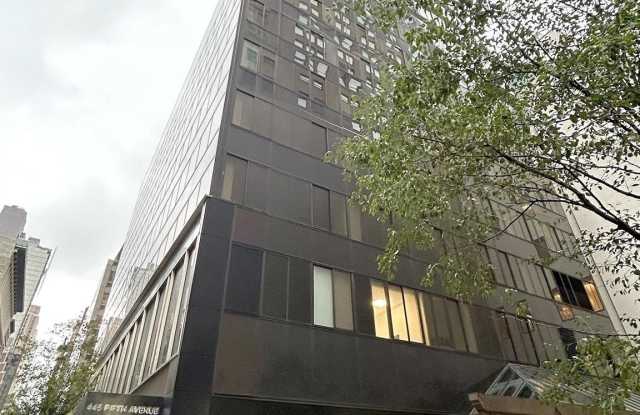 445 Fifth Avenue Gallery 1