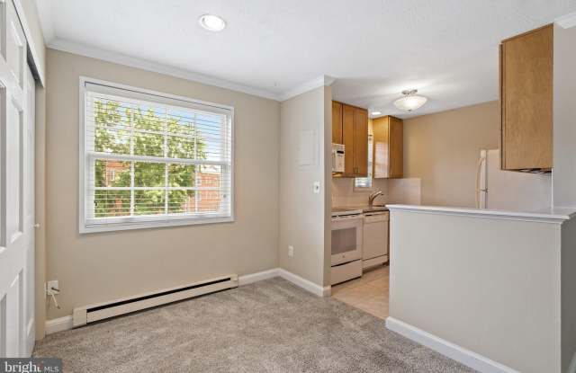 1720 W ABINGDON DRIVE Gallery 4