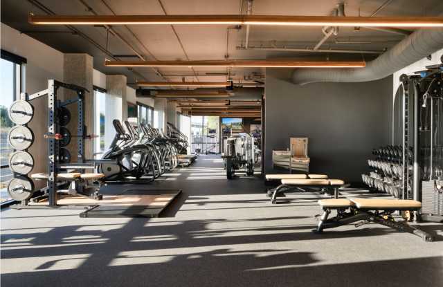 The Lafayette Gallery 3