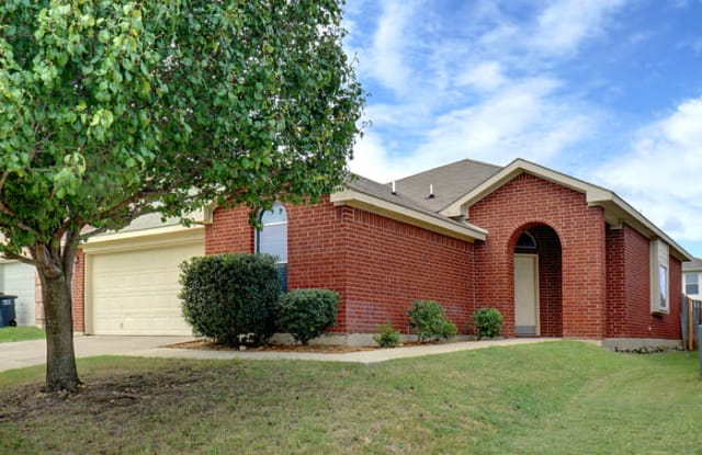 3932 Big Thicket Drive - 3932 Big Thicket Drive, Fort Worth, TX 76244