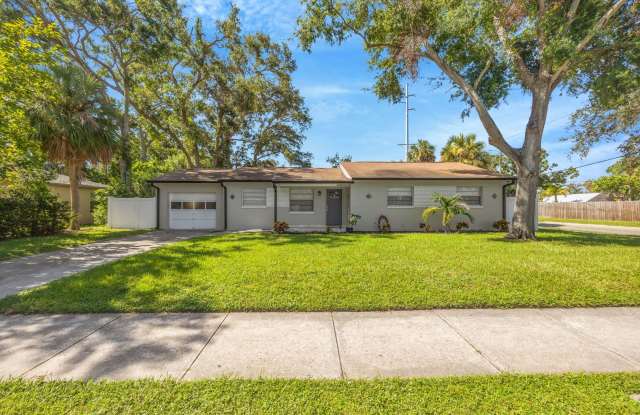 3 Bedroom 2 bathroom South Tampa Home for Rent!! photos photos