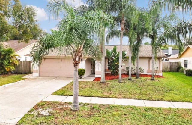 12012 MISTY BROOK COURT - 12012 Misty Brook Court, Town 'n' Country, FL 33635