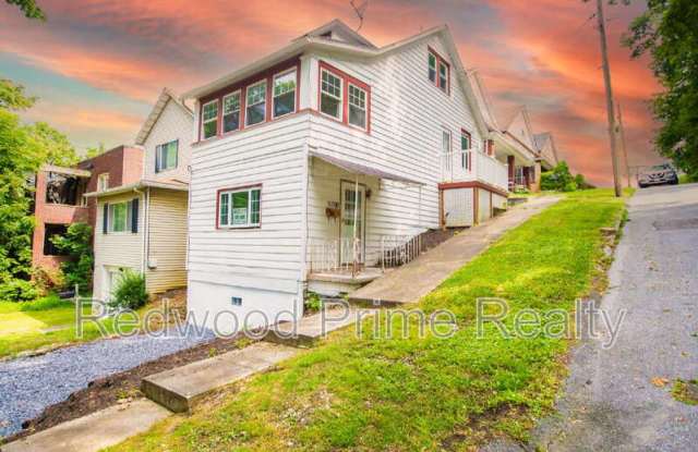 925 Coleman Avenue - 925 Coleman Avenue, Johnstown, PA 15902