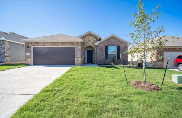 3-Bedroom, 2-Bath Home in Reserve at Pea Ridge – Belton ISD photos photos