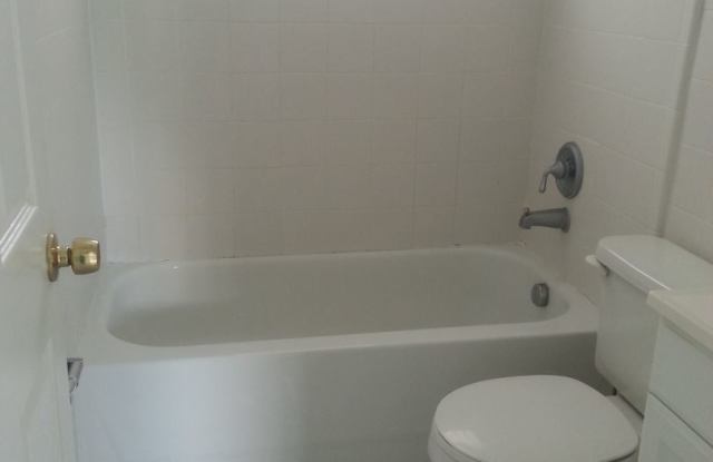 1578 Zinnia Dr Gallery 4