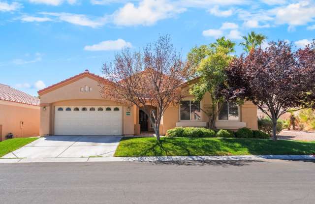 Summerlin Single-Story with Stylish Upgrades! photos photos