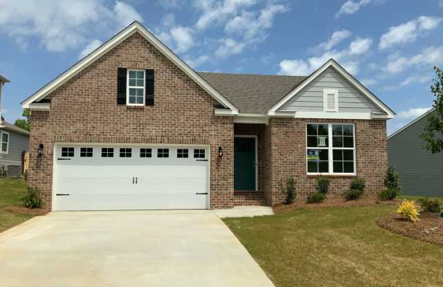 Chelsea Park's / Park Crossings 4 Bedrooms 2 Bath New Construction Home! Be the first to live here! photos photos