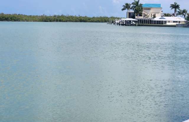 Coastal Waterfront Pool Home in Paradise at Isles of Capri photos photos