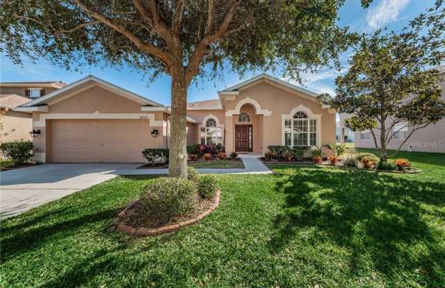 8809 RIVERSCAPE WAY - 8809 Riverscape Way, Town 'n' Country, FL 33635