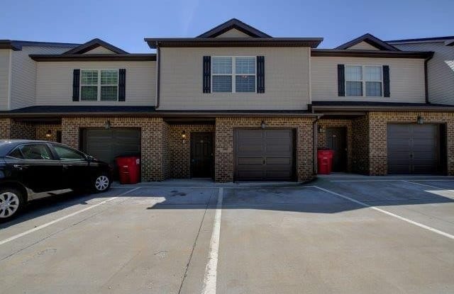 1615 Railton Court #A3 - 1615 Railton Court, Montgomery County, TN 37043
