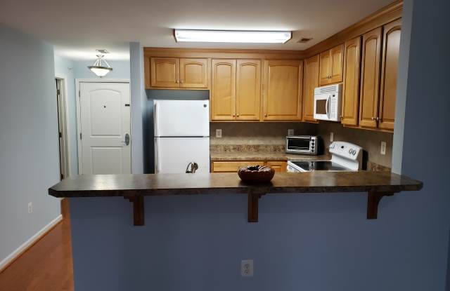 6300 Lydia Hollow Dr Gallery 3