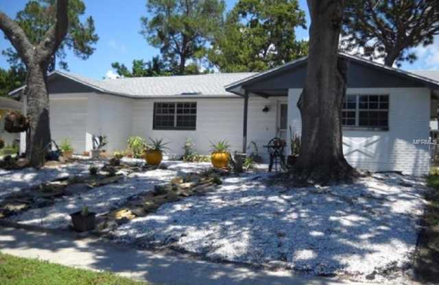 919 PENINSULA ROAD - 919 Peninsula Rd, Tarpon Springs, FL 34689
