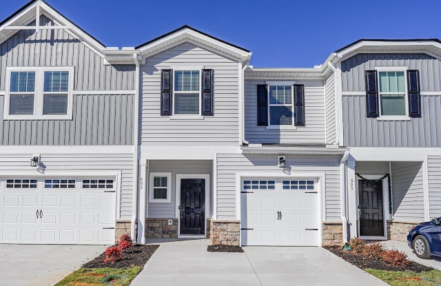 603 Purteview Place - 603 Purteview Place, Greer, SC 29650