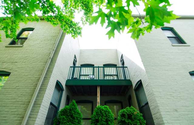 Garden Arch Gallery 4