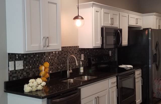 1 bedroom 1 bath Luxury Apartment Branson MO photos photos