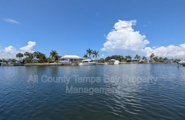 1028 Apollo Beach Blvd photos photos