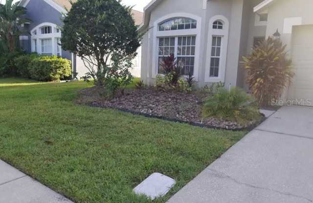 1116 CRIMSON CLOVER LANE Gallery 2