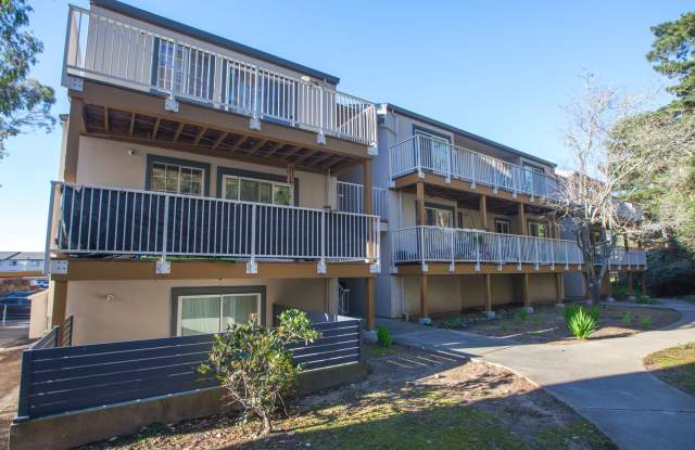 Sun-Filled Top-Floor Gem Near San Bruno Mountain State Park photos photos
