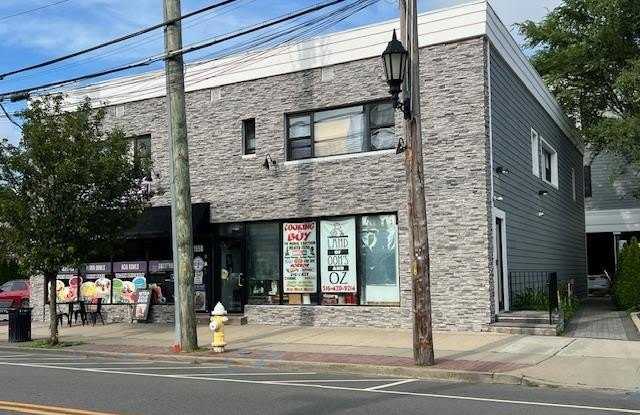 155 Main Street - 155 Main Street, Farmingdale, NY 11735