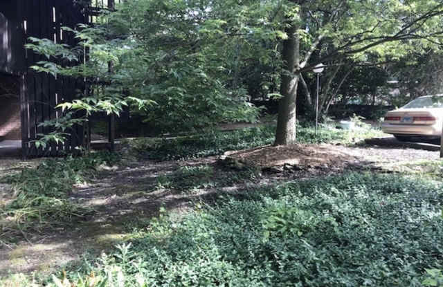 5603 Lakeside Drive - 3C#3C Gallery 2