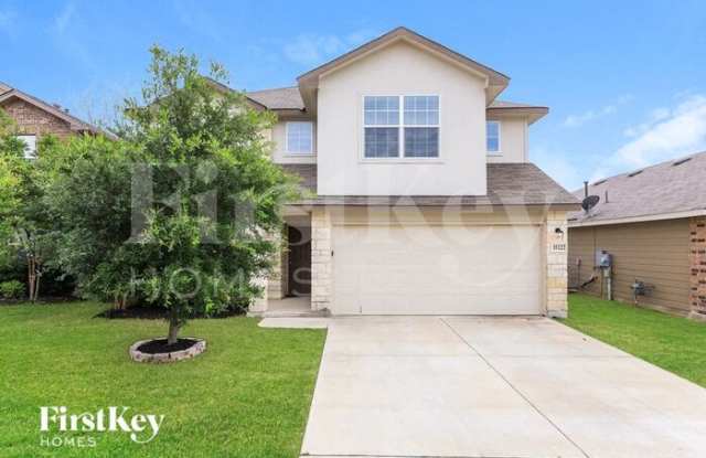 15222 Cinnamon Teal photos photos