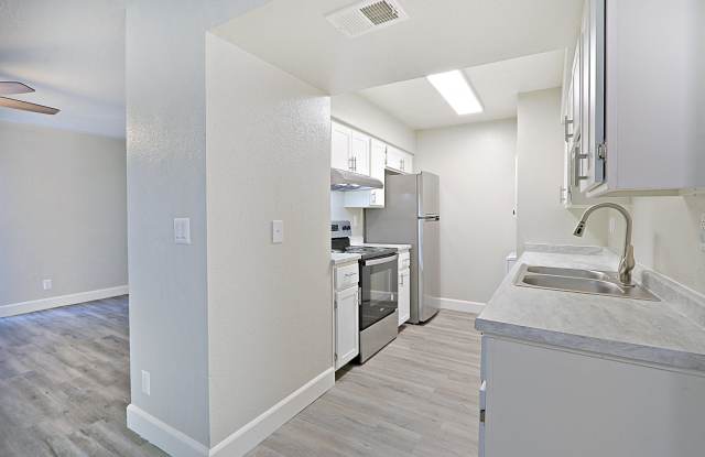 The Coronado (Palms on Monte Vista) Gallery 4
