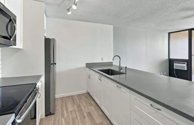 55 S. Judd Street#1303 Gallery 4
