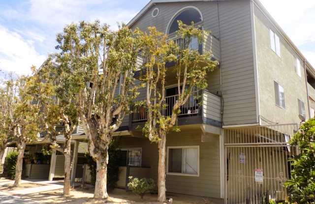 SPACIOUS 2 BDRM, 2 BA WITH HIGH CEILING! photos photos