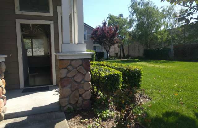 5674 Impatiens Common photos photos 5674 Impatiens Common photos photos