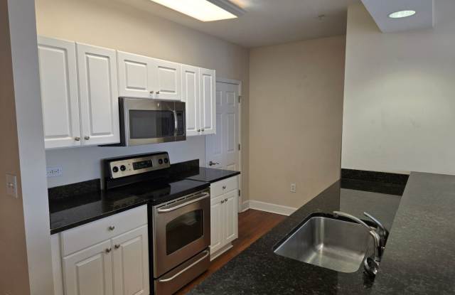 2 bedroom 2 bathroom Luxury Condo photos photos
