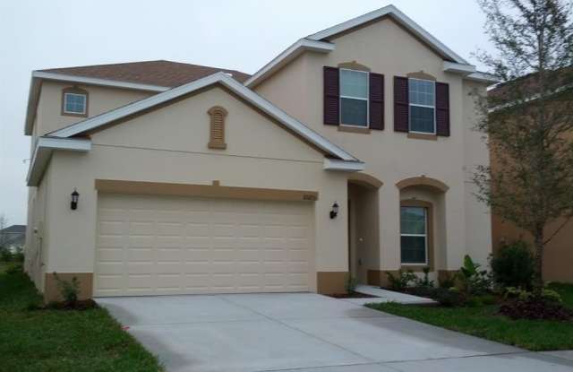 20205 Autumn Fern photos photos