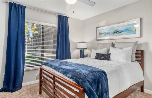 Palms on Scottsdale by Mark-Taylor photos photos