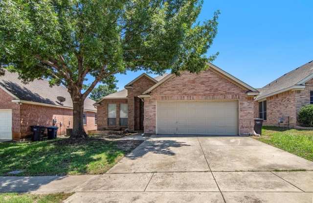 4916 Tulip Lane - 4916 Tulip Lane, Fort Worth, TX 76137