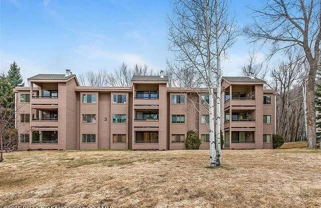 313 VINE Street unit: 313 photos photos 313 VINE Street unit: 313 photos photos