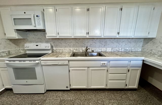 1437 Dennis Avenue - 1437 Dennis Avenue, Milpitas, CA 95035