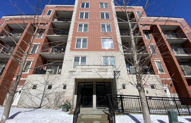1670 Mill Street - 1670 Mill Street, Des Plaines, IL 60016