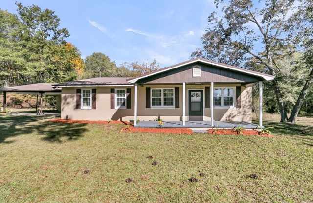 341 Asazlee Lane - 341 Asazlee Lane, Orangeburg County, SC 29048