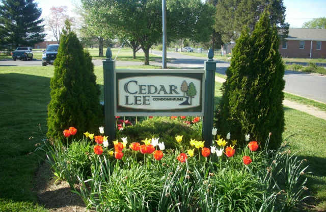 11230 Torrie Way photos photos