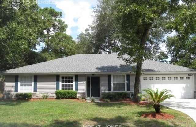 12515 Herblore Dr - 12515 Herblore Drive, Jacksonville, FL 32225