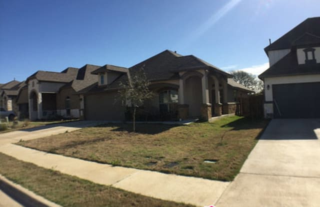 1308 Goldilocks Lane - 1308 Goldilocks Ln, Manchaca, TX 78652