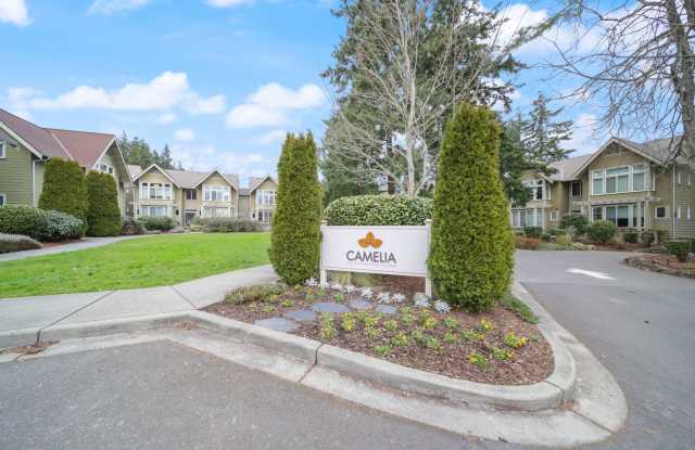 Island Living at Camelia! Gallery 3