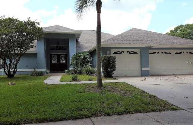 16506 LONGLEAT DRIVE - 16506 Longleat Drive, Lutz, FL 33549