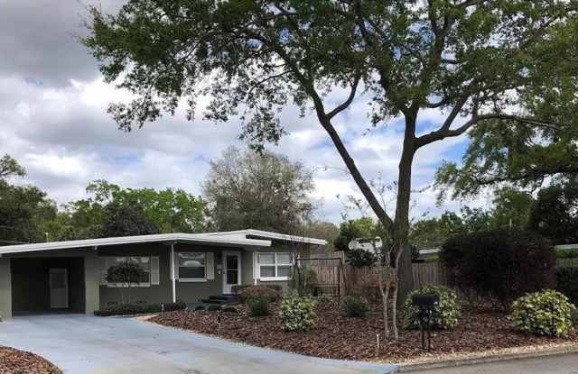 911 BUCKWOOD DRIVE - 911 Buckwood Drive, Orange County, FL 32806